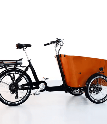 Lastenrad Cargo E-Bike - 3 Wheels - Bike Innov