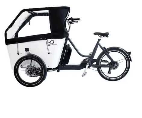 Lastenrad Cargo E-Bike - 3 Wheels - Bike Innov