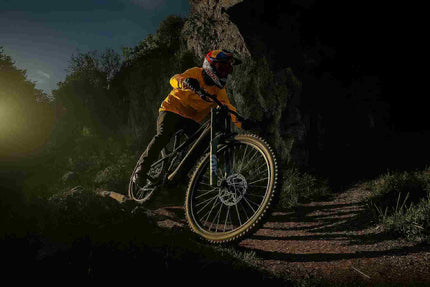 Carbon Mountain E-Bike 2025 