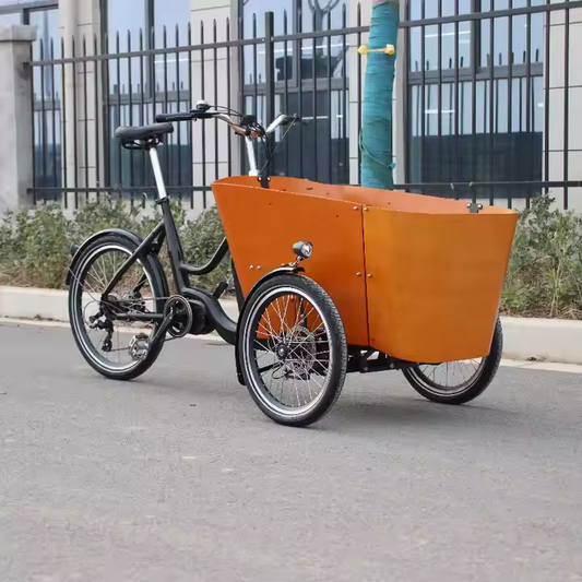 Family Cargo E-Bike - 3 Wheels - Bike Innov 