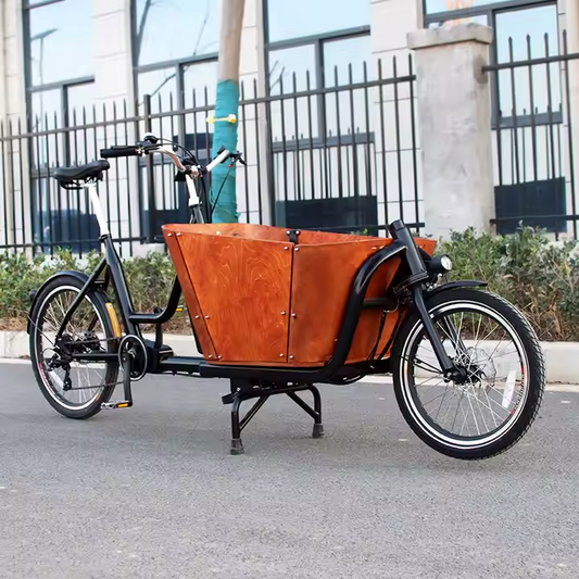 Family Cargo E-Bike - 2 Wheels - Bike Innov 