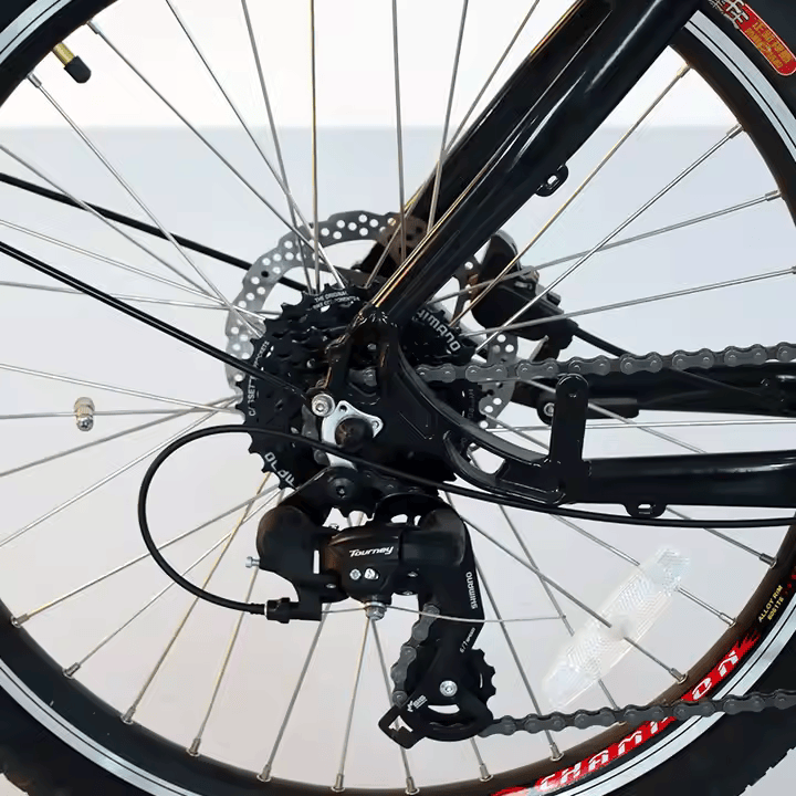 Family Cargo E-Bike - 2 Wheels - Bike Innov 