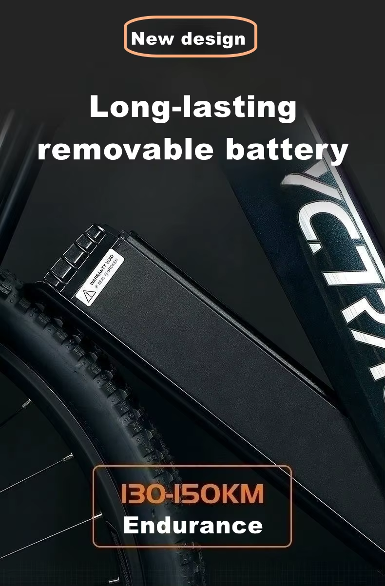 Mountain E-Bike - Cyctrac EM10 - Carbon fiber - Bike Innov 