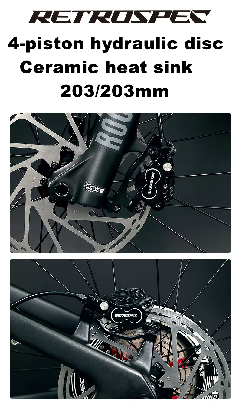 Mountain E-Bike - Cyctrac EM10 - Carbon fiber - Bike Innov 