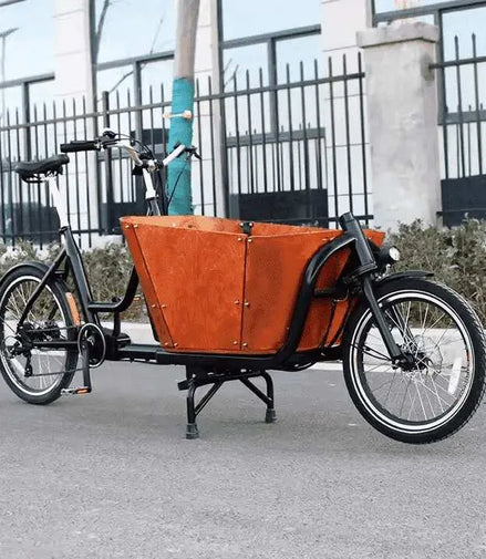 Lastenrad E-Bike 2 Räder - Wendig Cargo Bike 150kg Zuladung