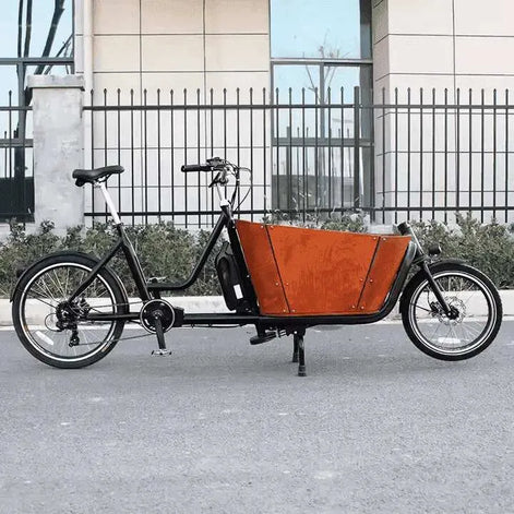 Lastenrad E-Bike mit 2 Rädern kaufen | 150kg Zuladung | Bike Innov