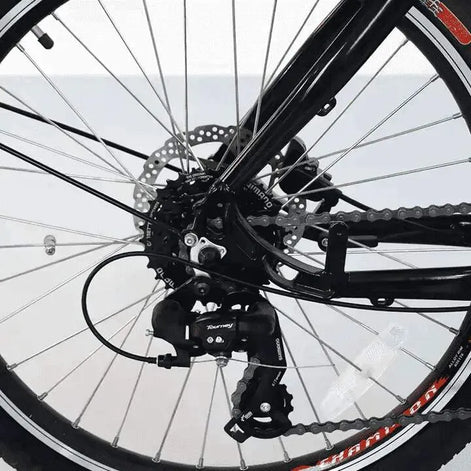 Lastenrad E-Bike mit 2 Rädern kaufen | 150kg Zuladung | Bike Innov