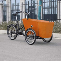 Lastenrad E-Bike 3 Räder 200kg Zuladung kippsicher stabil