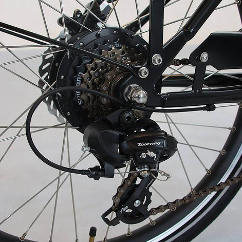 Lastenrad E-Bike 3 Räder hydraulische Bremsen Motor robust