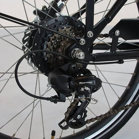 Lastenrad E-Bike mit 3 Rädern – Maximale Stabilität für schwere Lasten