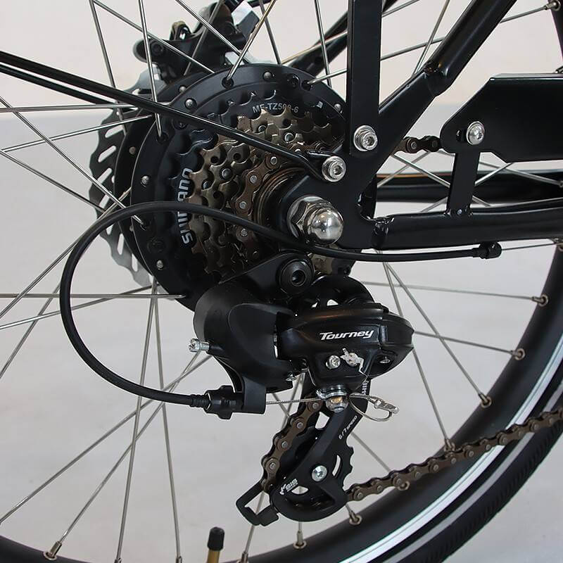 Lastenrad E-Bike 3 Räder hydraulische Bremsen Motor robust