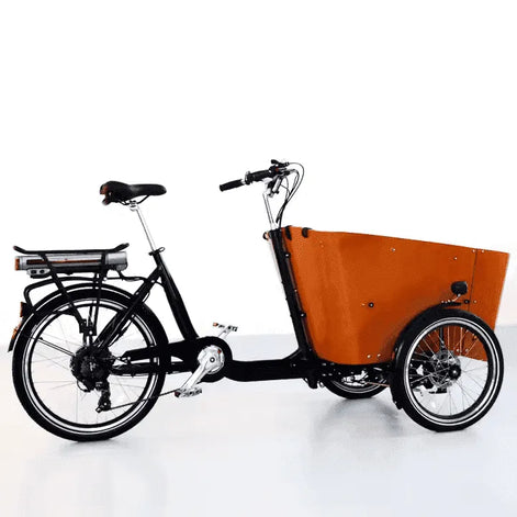 Lastenrad E-Bike mit 3 Rädern – Maximale Stabilität für schwere Lasten