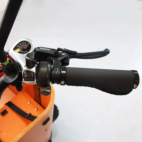 Lastenrad E-Bike mit 3 Rädern – Maximale Stabilität für schwere Lasten