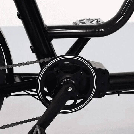 Lastenrad E-Bike 2 Räder 80km Reichweite Bafang Motor