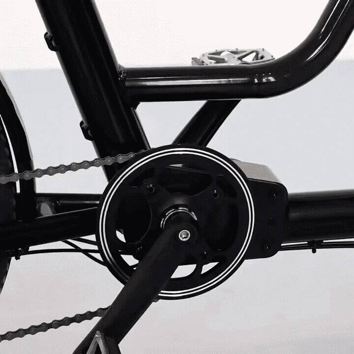 Lastenrad E-Bike 2 Räder 80km Reichweite Bafang Motor