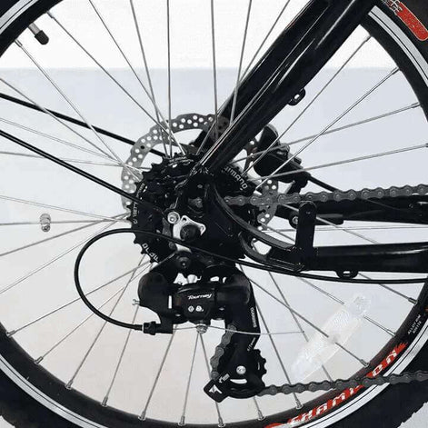 Lastenrad E-Bike 2 Räder Scheibenbremsen hydraulisch robust